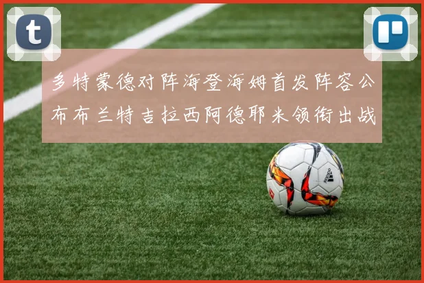 多特蒙德对阵海登海姆首发阵容公布布兰特吉拉西阿德耶米领衔出战